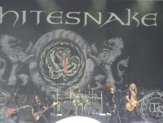 White Snake Hq HD 3d Whitesnakewallpaper Black And