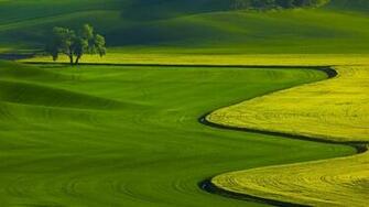 Golf Course Wallpaper55 Best Wallpaper For Pcs Laptops
