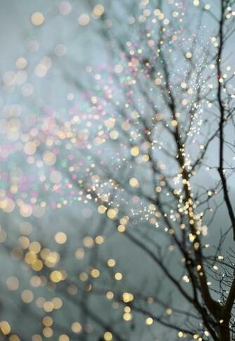 Love Christmas Photography Winter Xmas Lights Light Cold Beautiful
