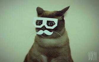 Cats Dubstep Wallpaper Mustache Stereo