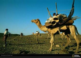 Best National Geographic Channel Photographs Wallpaper