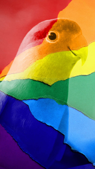 Rainbow Aesthetic Background Wallpaper