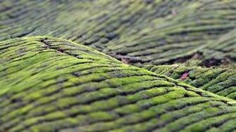 Theme Full HD Widescreen Type Wallpaper For