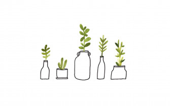 Line Art And Watercolor Minimalist Plant Desktop Wallpaper