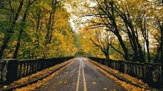 HD Wallpaper 1080p Nature Autumn Mobile