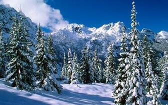 Snow Scenes Desktop Background Wonderland Dreamy