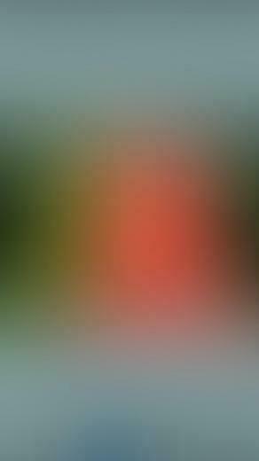 Blur Background In Your iPhone Photos The Ultimate Guide