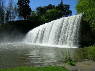 Rere Falls Photo