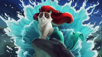 Cat Grumpy The Little Mermaid Disney Humor Wallpaper HD