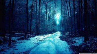 Now Cold Winter Day Wallpaper 1080p HD Read Description