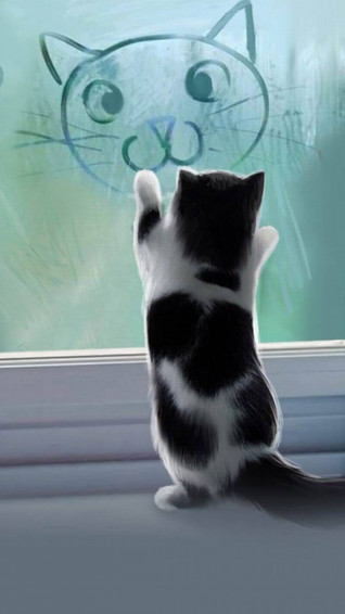 Cat iPhone Wallpaper