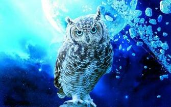 Owl In Space Wallpaper