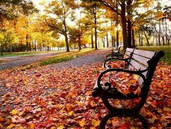 Season HD Wallpaper Autumn Htm