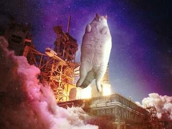 Awesome Cats In Space Wallpaper Caveman Circus