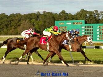 Horse Racing Wallpaper