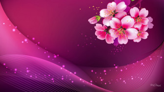 Dark Pink Wallpaper HD