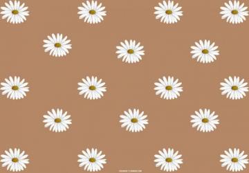 Brown Aesthetic Wallpaper Fab Mood Wedding Colours