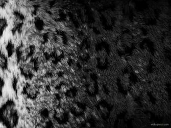 Black And White Fur Wallpaper