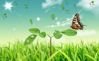 Nature Wallpaper HD For Mobile