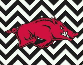 Razorback Chevron Too Cute Being A Native Arkansan Country Girl