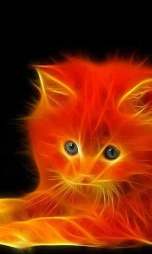 Neon Cat Live Wallpaper For Android Por Gigi Labs Appszoom