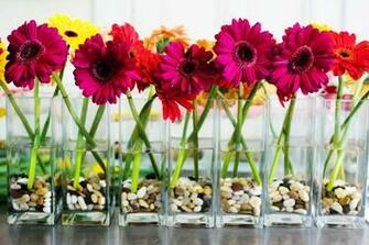 Springs Florist Palm Event Services My Little Flower Shop