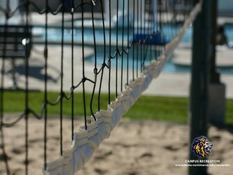 Expokerja Volleyball Wallpaper Desktop Background Pic Html