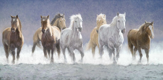 White Horses Running Fast All Best Desktop Wallpaper