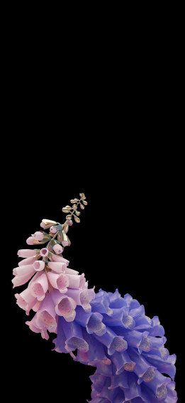 The Innovation Wallpaper