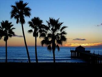 California Palm Trees Beach Beaches