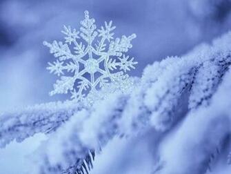 Winter Snowflake Wallpaper High Definition Quality
