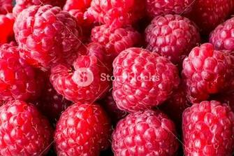 Raspberry Fruit Background Super Macro Fresh And Tasty Looking