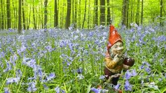 Garden Gnome Wallpaper System HD