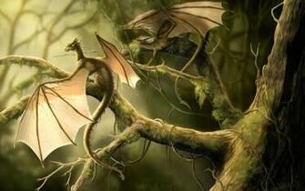 Little Dragon Wallpaper