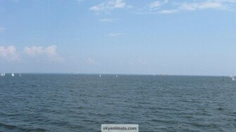 Chesapeake Bay Wallpaper Image