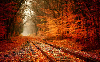 Cozy Fall Desktop Wallpaper
