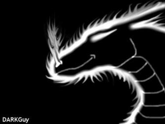 Black And White Dragon Wallpaper By