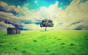 Tree Jpg
