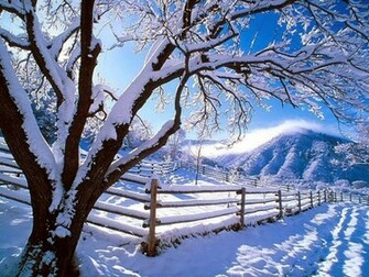 Winter Scenes Wallpaper Background