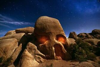 Usa California Joshua Tree Wallpaper Nature And