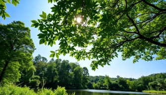 Nature Wallpaper