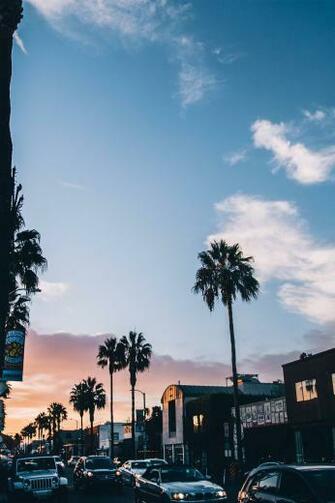 Cityscapes Venice San Fransisco And Copenhagen Pyuellll