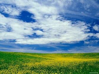 Wallpaper Nature Blue Sky And White Cloud