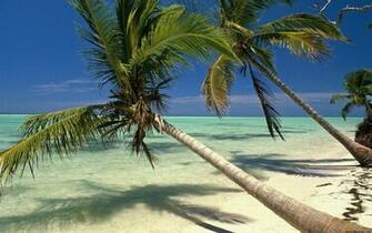 Punta Cana Dr Wallpaper