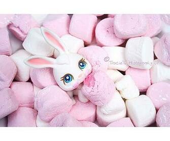 Littlest Pet Shop Wallpaper Desktop Coolest Little Cake Ideas