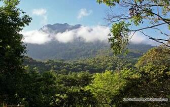Udzungwa Mountains Wallpaper Screensavers And Background