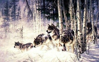Wolfpack High Quality And Resolution Wallpaper On