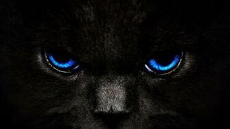 Wallpaper HD Android Apps And
