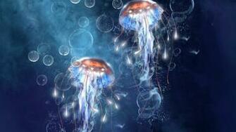 On August By Admin Comments Off Box Jellyfish Wallpaper