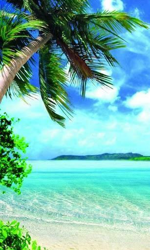Summer Live Wallpaper Release Date Specs Re Redesign And